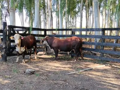 Estância de 288 hectares à venda em Arroyos y Esteros 3