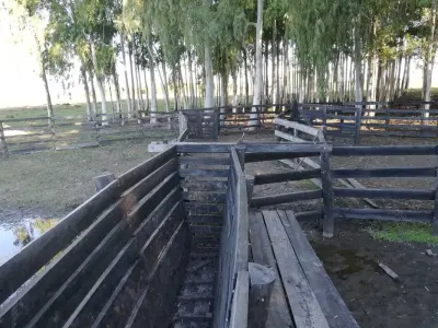 Estância de 288 hectares à venda em Arroyos y Esteros 4