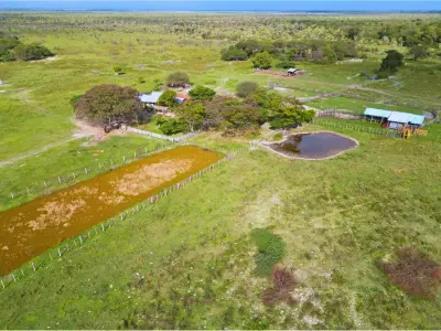 Estancia en venta de 483 ha en Villa Franca, Ñeembucú 4