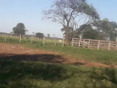 Estancia en venta en Alto Paraguay — 1.600 hectáreas 3