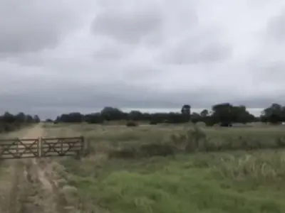 Estância à venda no Chaco Paraguaio – 2.000 hectares 2
