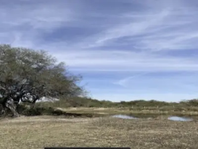 Estância à venda no Chaco Paraguaio – 2.000 hectares 4