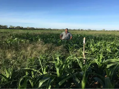 Fazenda à venda em Filadelfia, Boquerón 3