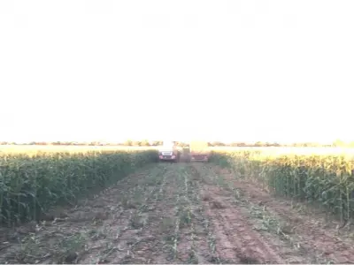 Fazenda à venda em Filadelfia, Boquerón 4