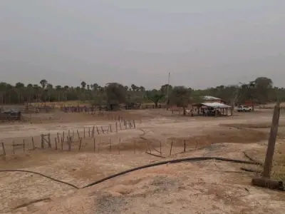 Estancia en venta en Fortín Florida, Alto Paraguay — 1.500 hectáreas 2
