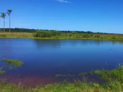 Fazenda à venda em Gral. Elizardo Aquino, San Pedro — 133 hectares 3