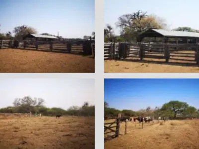 Ranch for Sale in Presidente Hayes — 1,197 hectares 3