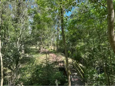 Estancia en venta en Tavapy, Alto Paraná - 20 hectáreas productivas 2