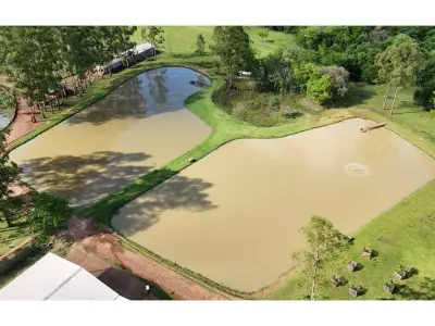 Estancia en venta en Tavapy, Alto Paraná - 20 hectáreas productivas 3