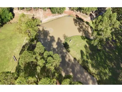 Estancia en venta en Tavapy, Alto Paraná - 20 hectáreas productivas 4