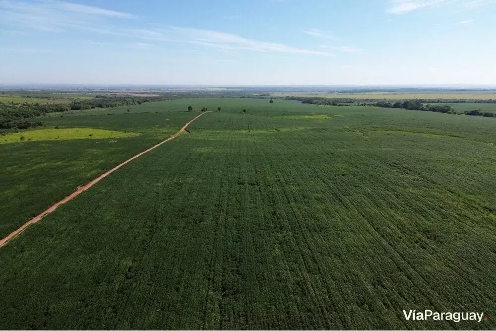 Estância de 10.019 ha à venda em Simón Bolívar, Caaguazú — com casa, currais e pista de pouso