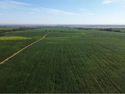 Estância de 10.019 ha à venda em Simón Bolívar, Caaguazú — com casa, currais e pista de pouso