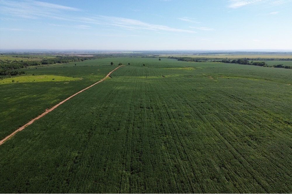 Estância de 10.019 ha à venda em Simón Bolívar, Caaguazú — com casa, currais e pista de pouso