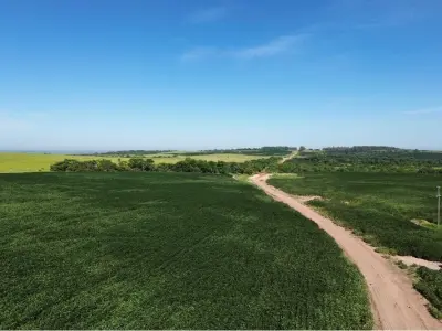 Estância de 10.019 ha à venda em Simón Bolívar, Caaguazú — com casa, currais e pista de pouso 2