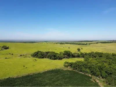 Estância de 10.019 ha à venda em Simón Bolívar, Caaguazú — com casa, currais e pista de pouso 4