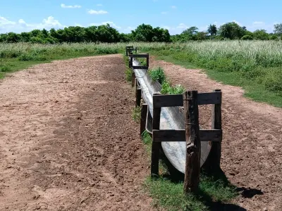 Estância formada para alugar em Arroyito, Concepción 2
