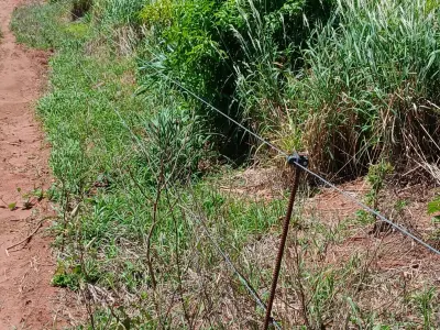 Estância formada para alugar em Arroyito, Concepción 3