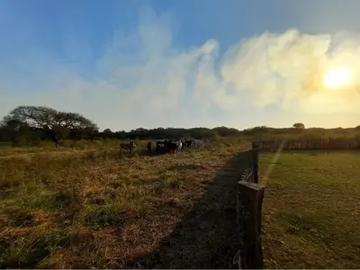 Estancia ganadera en venta en Benjamín Aceval, Presidente Hayes 4