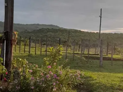 Estancia ganadera en venta en Caapucú, Paraguarí 4