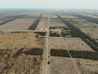 Estancia ganadera en venta en Fuerte Olimpo · 18.804 hectáreas 2