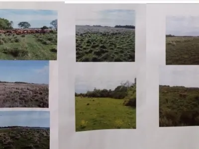 Cattle ranch for sale in Tacuaras, Ñeembucú 2