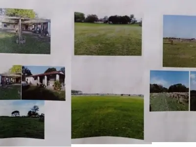 Cattle ranch for sale in Tacuaras, Ñeembucú 3