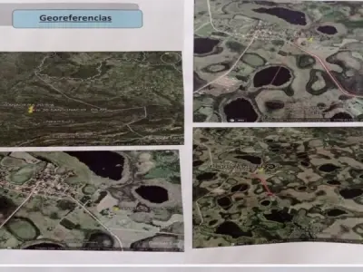 Cattle ranch for sale in Tacuaras, Ñeembucú 4