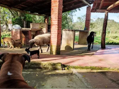 Estancia ganadera en venta en Trinidad, Itapúa 3