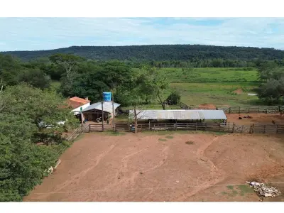 Estancia Ramonita en venta: 368 hectáreas en Ybycuí 2