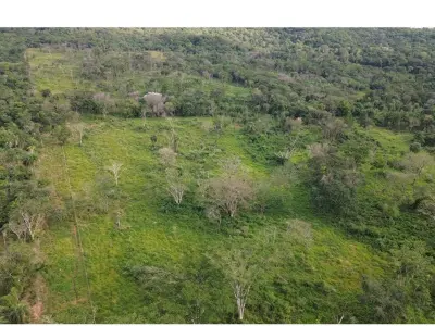 Estancia Ramonita en venta: 368 hectáreas en Ybycuí 3