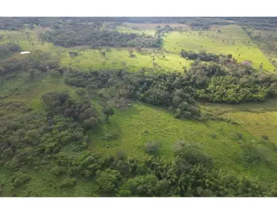 Estancia Ramonita en venta: 368 hectáreas en Ybycuí 4