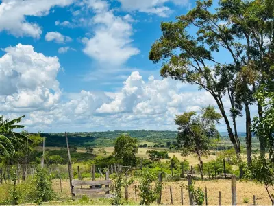 Fazenda agrícola de 27 hectares à venda em Caaguazú 2