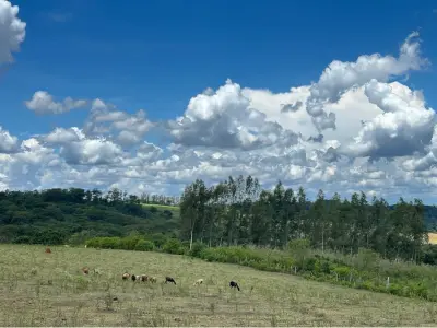 Fazenda agrícola de 27 hectares à venda em Caaguazú 4