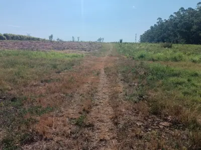Finca agrícola en venta en Capitán Miranda, Itapúa 4