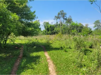 Fazenda agrícola à venda em San Juan Nepomuceno, Caazapá 3