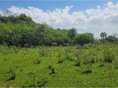 Fazenda agrícola à venda em San Juan Nepomuceno, Caazapá 4