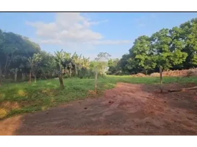 Finca agrícola à venda em Yguazú, Alto Paraná 4
