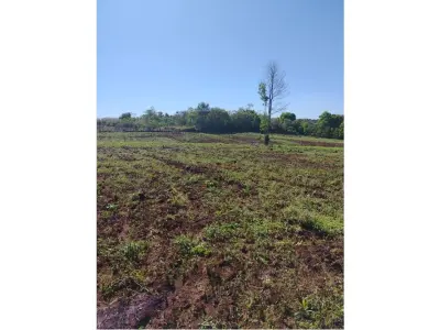 Fazenda Agrícola e Turística à Venda em Minga Guazú 4