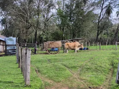 Finca agropecuaria de 60 ha en venta en Caazapá 2