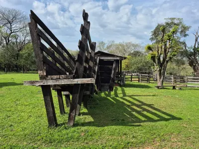 Finca agropecuaria de 60 ha en venta en Caazapá 3
