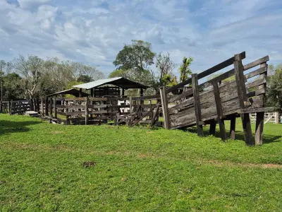 Finca agropecuaria de 60 ha en venta en Caazapá 4
