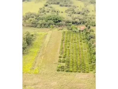 Finca en venta con proyecto turístico en Coronel Bogado 4