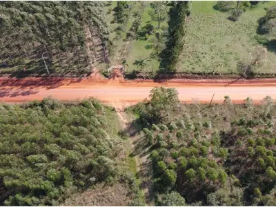 Fazenda de 74 ha à venda em Gral. Higinio Morínigo, Caazapá — com eucalipto e mata nativa 4