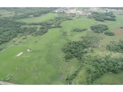 Fazenda pecuária e agrícola à venda em Belén, Concepción 3