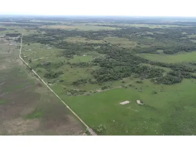 Fazenda pecuária e agrícola à venda em Belén, Concepción 4