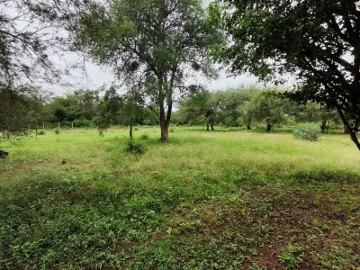 Fracción de 3 lotes en venta en Chaco'i, Nueva Asunción - 1.080 m² 3