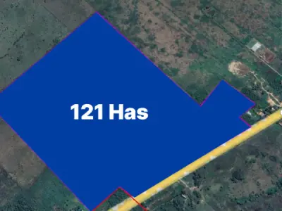 Gran propiedad de 120 hectáreas sobre Ruta Internacional – José Falcón 4