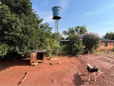 Granja agrícola de 1,5 ha en venta en San Vicente, Alto Paraná 4