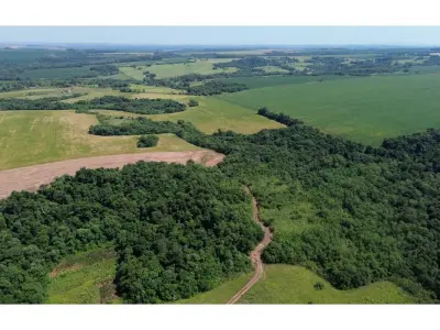 Granja agrícola en venta en Capitán Miranda, Itapúa 4
