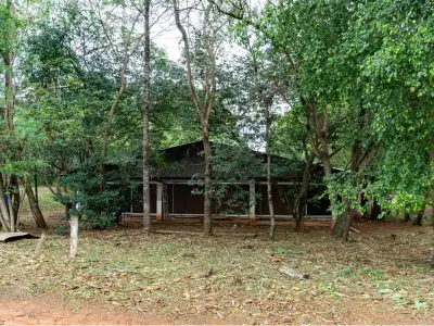 Granja avícola en funcionamiento en venta, Itacurubí de la Cordillera 4